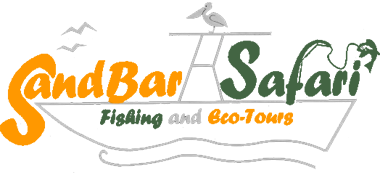 Sandbar Safari